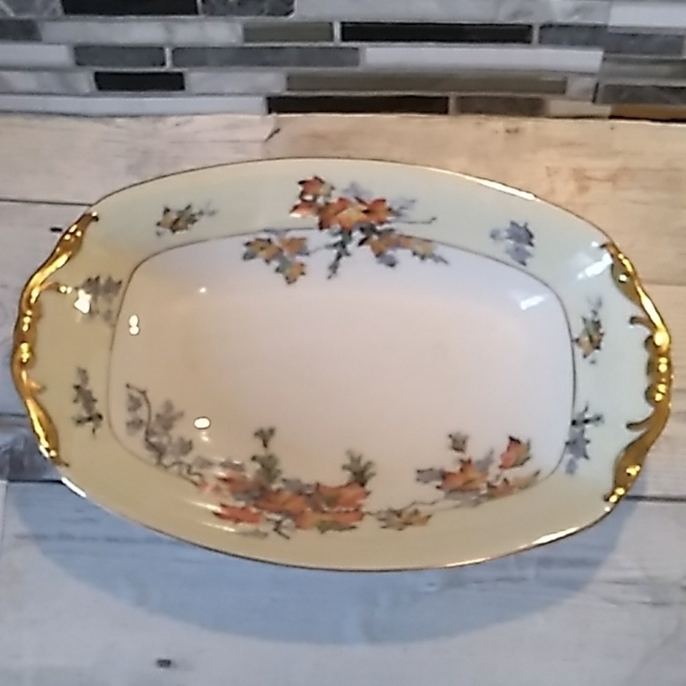 Epiag Royal 🇨🇿 Czechosilvokia Silver Maple bowl